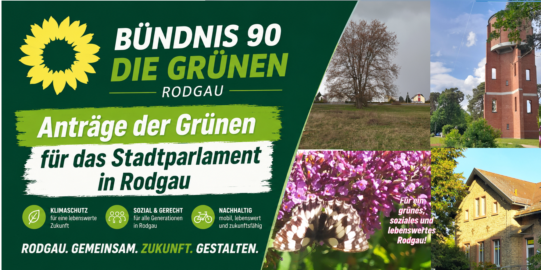 Grüne Anträge